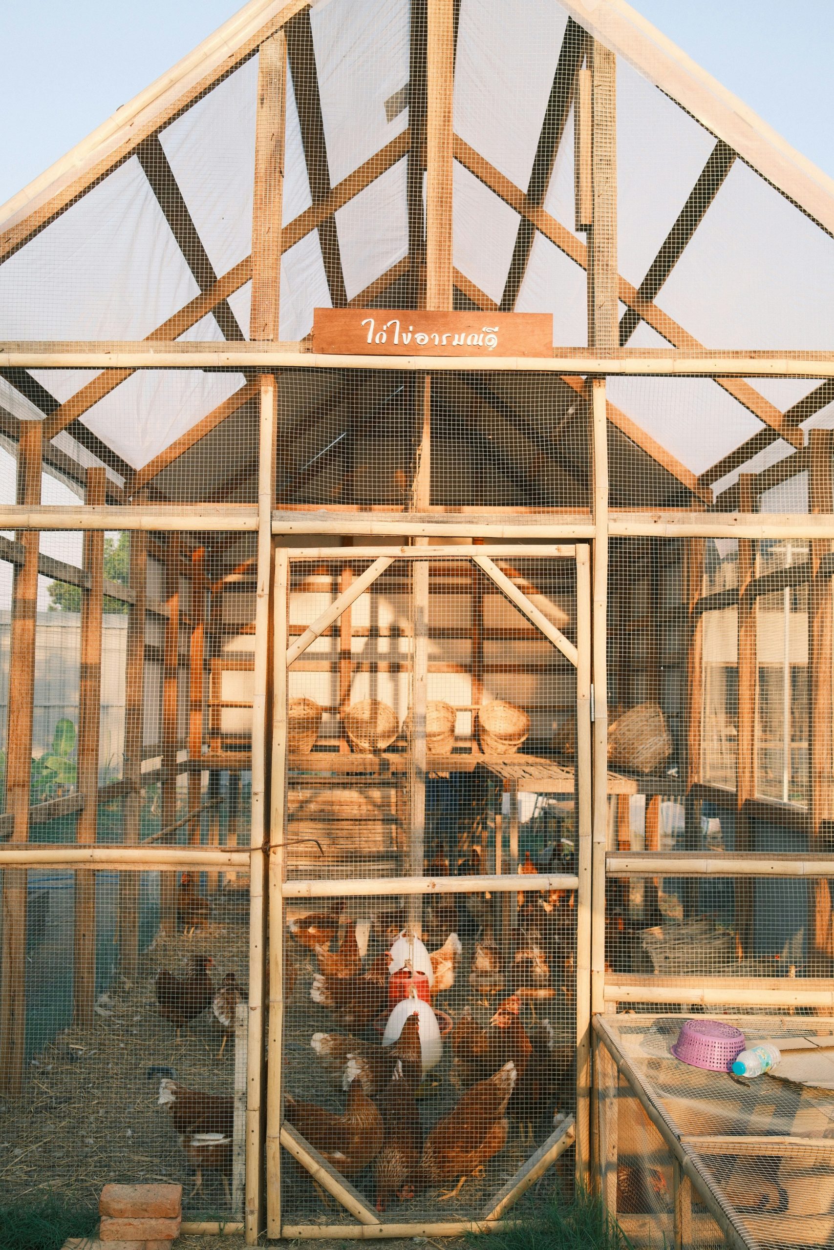 Loibinfen Chicken Coop