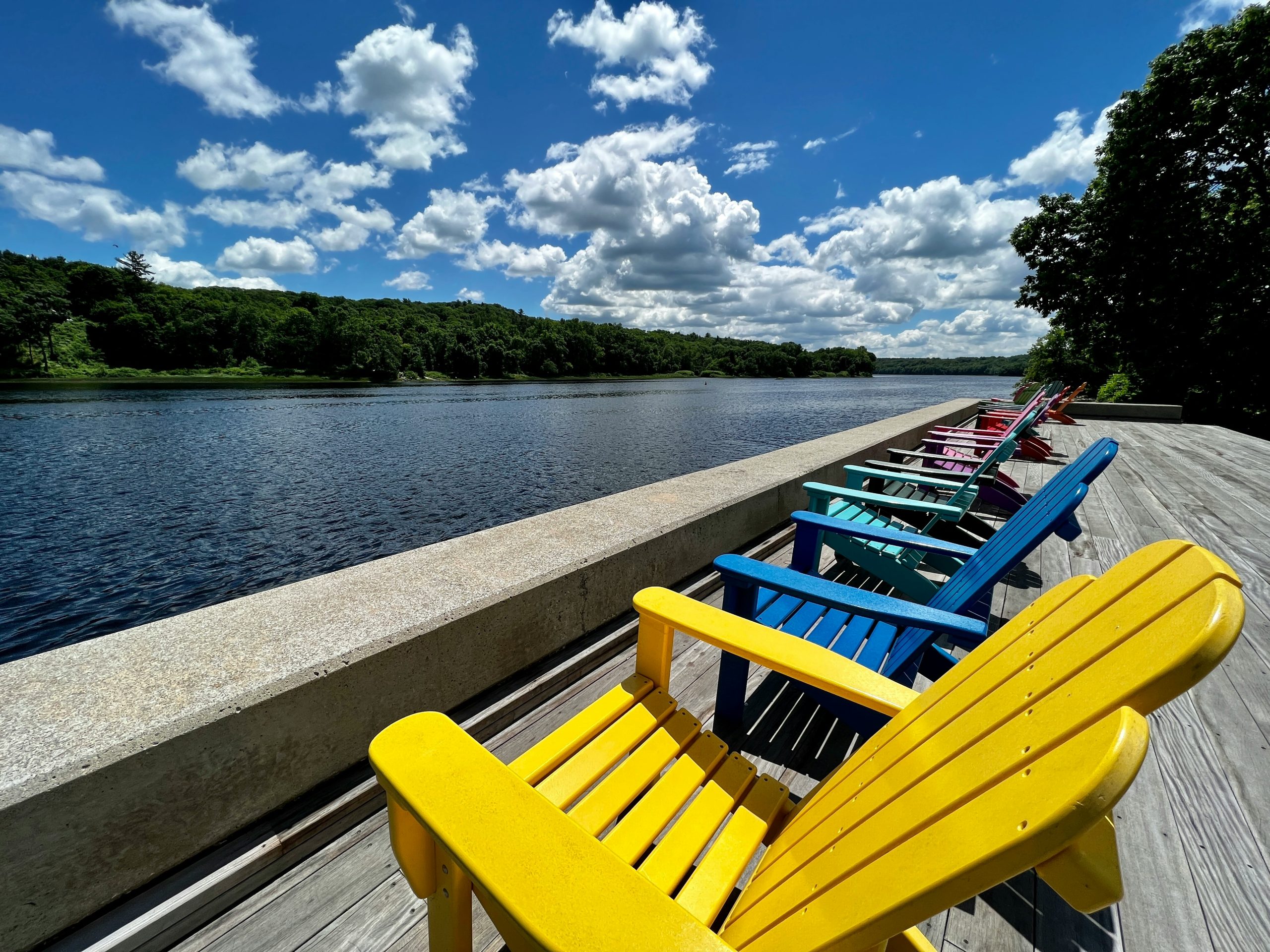 SUUNYN Patio Lounge Chairs