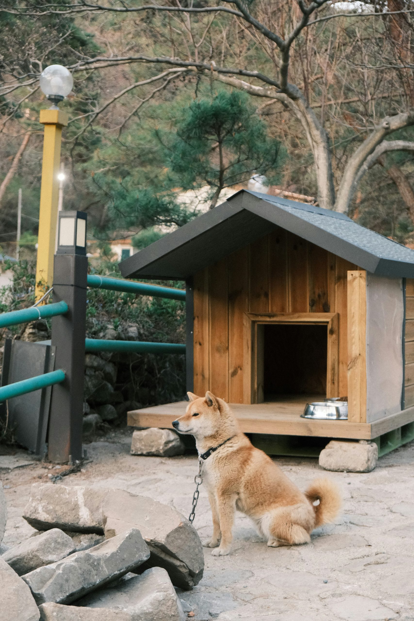 Loibinfen Dog Kennel
