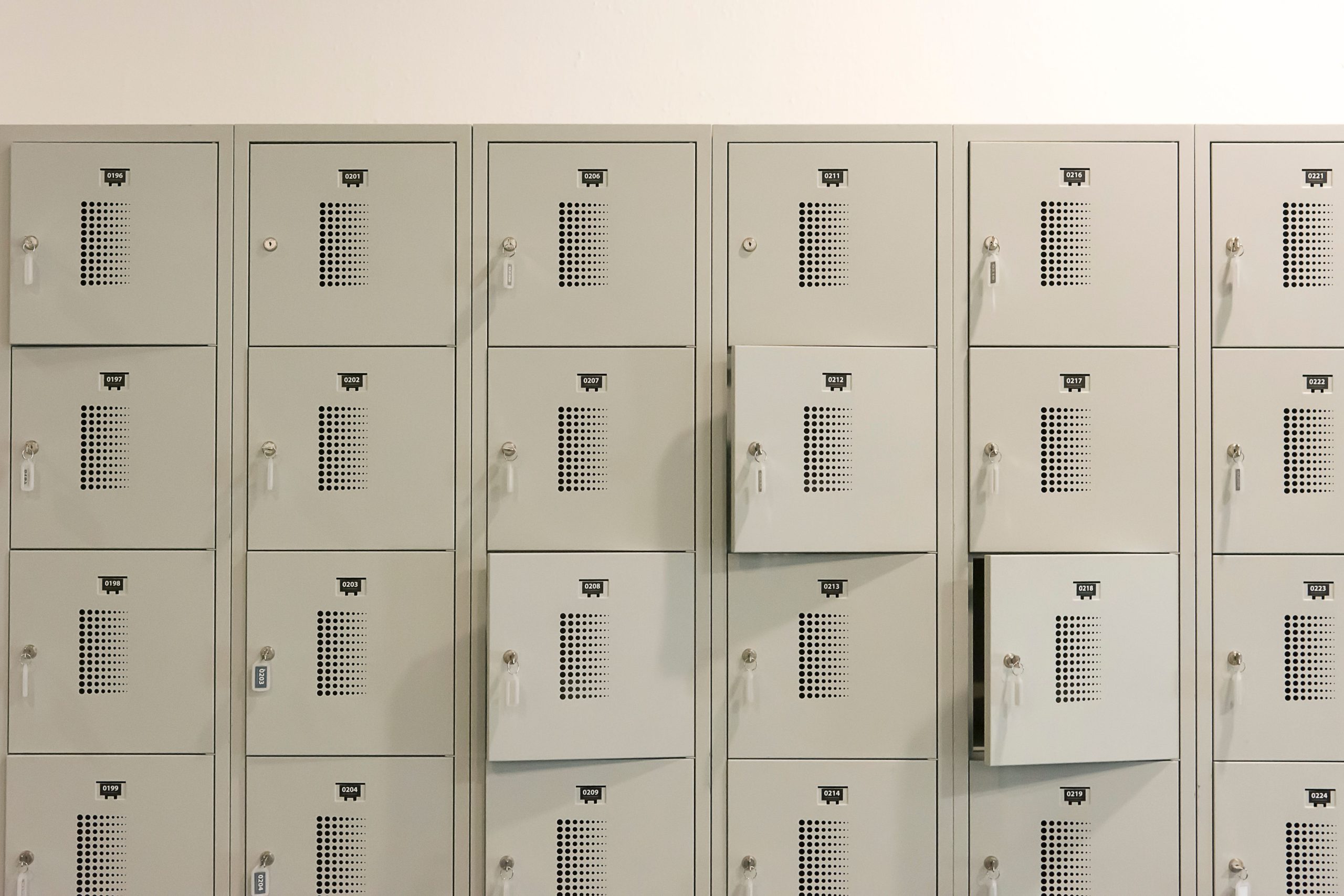 Loibinfen Metal Cabinet